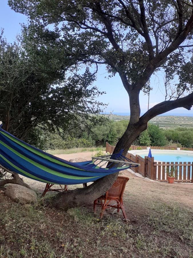 Agriturismo Gli Olivastri, Appartamento La Rosa Dei Venti Con Piscina E Solarium , Vista Mare ,Climatizzatore ,Wifi Aglientu Exterior foto